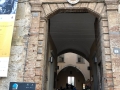 IMG_2235.jpeg