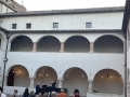 IMG_8080.jpeg