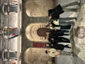 IMG_7492.jpeg